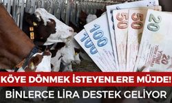 Köye dönmek isteyenlere müjde! Binlerce lira destek geliyor