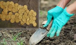 Tarlasını sürdü, köşeyi döndü! Çiftçinin toprağından çıkanlar servet değerinde