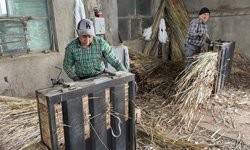 Hasır Yastıklar Zamana Direniyor! Eber’in Sazlıklarından Şark Köşelerine...