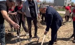 Şuhut’ta "Yeşil Vatan" Seferberliği: 100 Meyve Fidanı Toprakla Buluştu!