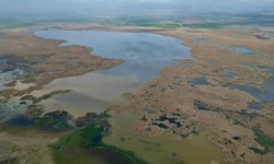 Eber Gölü’nde Umut Veren Görüntüler!