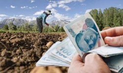 Afyonlu çiftçiler hesaplarınızı kontrol edin! Dev destek ödemesi bugün başlıyor