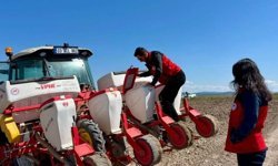 Afyonkarahisar’da TAKE projesi kapsamında dağıtılan ayçiçek tohumları toprakla buluştu