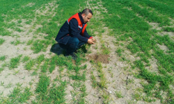 Afyon’da Tarım Alarmı! Uzmanlardan Üreticilere Kritik Uyarı: Hastalık Riski Artıyor