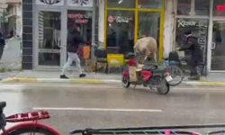Afyon'da Kaçan İnek Berber ve Çay Ocağına Girmeye Çalıştı