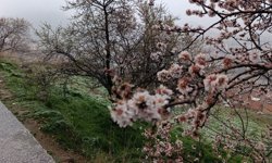 Hıdırlık ve Kent Ormanı Kar Altında: Afyon Merkezde Karla Karışık Yağmur Etkili, Yollarda Durum Nasıl?