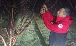 Afyonlu Üreticinin Zor Gecesi: Zirai Dona Karşı Nöbet Tuttular! Çiftçiler Kiraz Bahçelerinde Ateş Yaktı