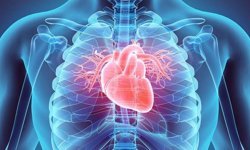 Her 10 Ölümden 3’ü Bu Yüzden! Kalbinizi Korumak İçin Atmanız Gereken 7 Altın Adım: Aile Hekiminize Başvurun