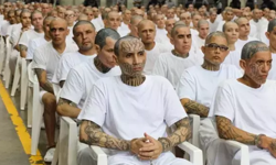 Dünyanın Gözü Bu Davada! Sokakların Korku İmparatorluğu Hakim Karşısına Çıktı