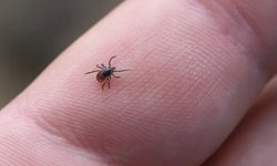 Kene Kabusu Can Aldı! 21 Yaşındaki Gencin Cenaze Namazı Araçtan İndirilmeden Kılındı!