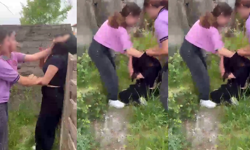 Akran Zorbalığında Kan Donduran Görüntüler: Genç Kızı Dakikalarca Darp Ettiler