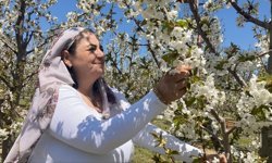 5. Kiraz Çiçeği Fotoğraf Etkinliği Yapıldı! Sultandağı’nda Görsel Şölen