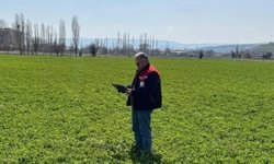 Afyon’da yem bitkisi denetimi: Arazi kontrolleri sürüyor
