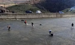 Afyonkarahisar Sandıklı balık olayı nedir, Örenler Barajı balık olayı nedir?