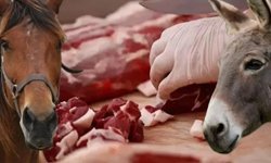 Bakanlık tek tek ifşa etti: Vatandaşa yine at ve eşek eti yedirmişler!