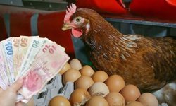 O markette 30'lu yumurtanın fiyatı düştü! Sadece yetişen alıyor