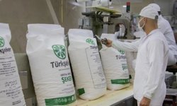 Türkşeker 525 işçi alımı yapacak! Türkşeker işçi alımı başvurusu nasıl yapılır, şartları neler?