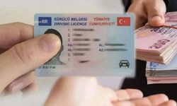 Ehliyetinin arkasını kontrol etmeyen yandı: Tam 4 bin 700 TL cezası var!