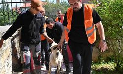 Emirdağ’da bayram dayanışması: İhtiyaç sahibi 98 aileye canlı kurbanlık ulaştırıldı