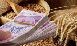 Buğday alım fiyatları belli oldu mu? 2026 Hububat arpa ve buğday alımı fiyatları ne kadar?