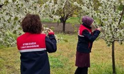 Afyon’da don riski için sahaya inildi: Tarım arazileri mercek altında