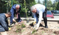 Müdür Sünnetci elleriyle çiçek dikti: Afyon'da Halk Eğitim bahçesi renklendi