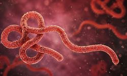 Aşısı ve Tedavisi Yok! Nadir Görülen Ebola Varyantı Hızla Yayılıyor: Can Kaybı Artıyor