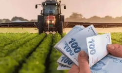 Çiftçinin Gözü Kulağı Bu Haberdeydi! Kimler, Ne Kadar Alacak?