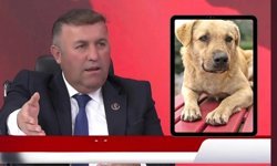 BBP İl Başkanı Süleyman Çağlar’dan "Sokak Köpeği" Çıkışı: "İtlaf Edilsin!"