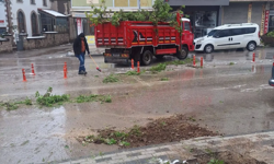 Bahar karı ağaçları vurdu: Gece bastıran yağış yolları kapattı