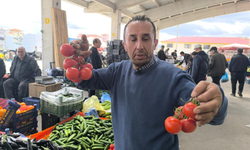 Afyonkarahisar'da domates fiyatları rekora koşuyor