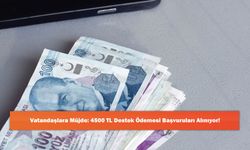 Vatandaşlara Müjde: 4500 TL Destek Ödemesi Başvuruları Alınıyor!