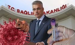 Hantavirüs Türkiye’ye geldi mi, kaç kişide görüldü? Hantavirüse yakalanan Türkler kimler?