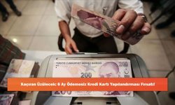 Kaçıran Üzülecek: 6 Ay Ödemesiz Kredi Kartı Yapılandırması Fırsatı!