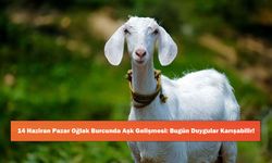 14 Haziran Pazar Oğlak Burcunda Aşk Gelişmesi: Bugün Duygular Karışabilir!