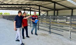 Bolvadin Hayvan Pazarı Gün Sayıyor... Tarım ve Orman İl Müdürlüğü Ekipleri Açılış Öncesi Sahada