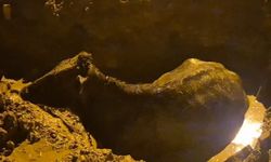 Afyon’da Nefes Kesen Kurtarma! Kuyuya Düşen İnek İçin Seferber Oldular
