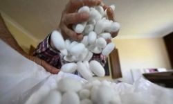 Emekli öğretmenin hobi diye başladığı işten kazandığı bir aylık para dudak uçuklattı