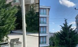 Afyon’da o mahalleyi arılar bastı! Vatandaşlar camlarını açamaz hale geldi