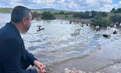 Başkan Öztaş Frigya Kayahan Göleti'nde ördek salımı programına katıldı