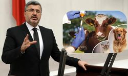 Afyonkarahisar Milletvekili Ali Özkaya Veterinerlerin Sesi Oldu: Tarihi Düzenleme Yasalaştı!