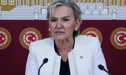 CHP İstanbul Milletvekili Nimet Özdemir kimdir? Nimet Özdemir kaç yaşında, nereli, asıl mesleği ne?