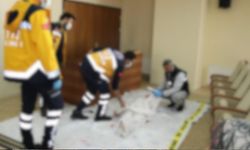 Cani Baba Nejdet Timurkaan Dehşet Saçtı! Kızına ve eşine kıydı