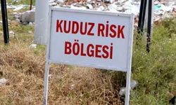 Kuduz Paniği Büyüyor! Yetkililerden Acil Çağrı... Van'da 7 Mahalle Karantinaya Alındı