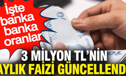 3 milyon TL’nin 32 günlük faiz getirisi memur maaşını geçti mi?