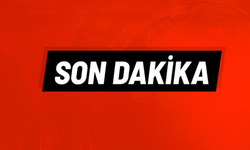 Tarladaki husumet kanlı bitti! Çapalı saldırı sonrası 4 kişiye mahkemeden karar