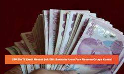 250 Bin TL Kredi Hesabı Şok Etti: Bankalar Arası Fark Resmen Ortaya Kondu!