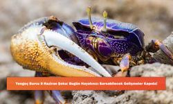 Yengeç Burcu 8 Haziran Şoku: Bugün Hayatınızı Sarsabilecek Gelişmeler Kapıda!
