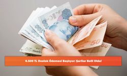 6.500 TL Destek Ödemesi Başlıyor: Şartlar Belli Oldu!