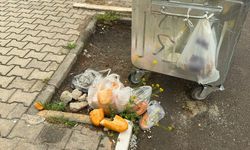 Afyon'da Tepki Çeken Görüntüler: Konteynerler Boş Ama Atıklar Yerde!